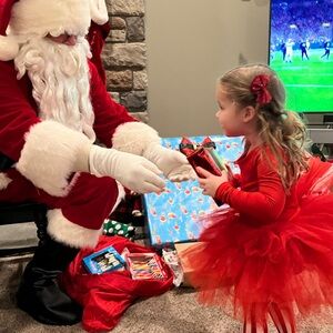 I love Plum Girls Red Tulle Ballet Dress